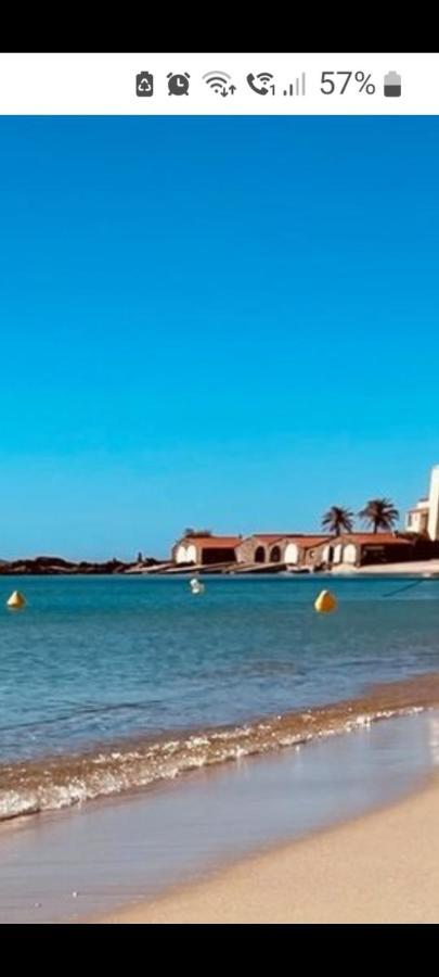 Coustelline Lägenhet Le Lavandou Exteriör bild